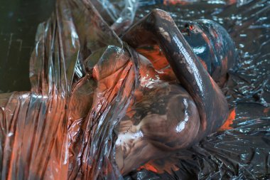 Kız boyayla boyanmış.