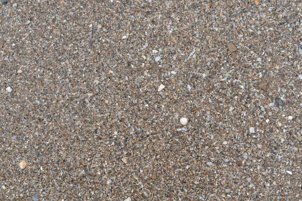 Texture Sable Brun Humide Mer — Photo