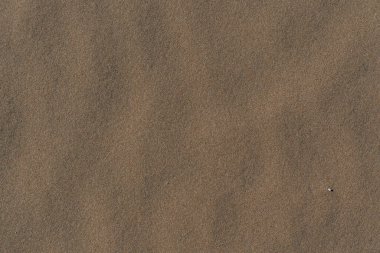 Deniz kıyısındaki kahverengi kum deseni