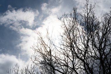 Mavi gökyüzüne karşı siyah göz kapakları