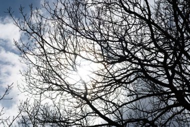 Mavi gökyüzüne karşı siyah göz kapakları