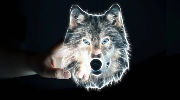 Persona tocando fractal en peligro de extinción lobo ilustración 3D renderin —  Fotos de Stock