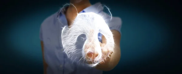 Osoba dotykająca Fraktal zagrożone panda ilustracja 3d renderi — Zdjęcie stockowe