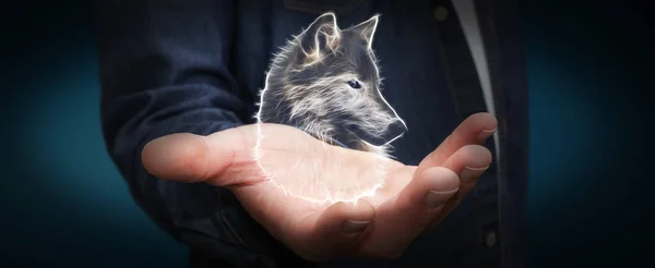A személy, aki a veszélyeztetett fraktál wolf illusztráció 3d-leképezés — Stock Fotó