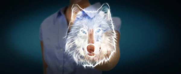 Osoba dotykająca Fraktal zagrożone Wilk ilustracja 3d renderin — Zdjęcie stockowe