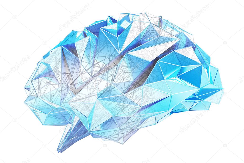 Digital x-ray human brain 3D rendering