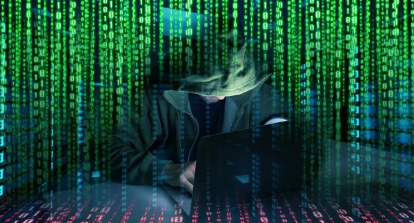 Hacker accessing to personal data information with a computer 3D