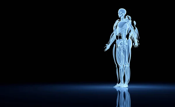 Projeção holográfica 3D da varredura do corpo humano do raio-x digital renderin — Fotografia de Stock