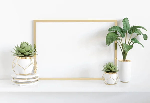 植物と明るいインテリアで白い棚に傾くフレームと — ストック写真