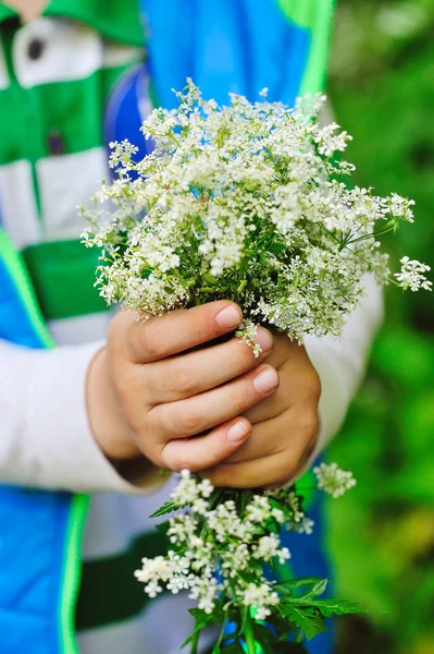 Ramo de flores blancas silvestres en las manos de un niño — Foto de Stock