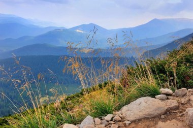 Harika dağ manzarası. Bulutlu gün. Sonbahar çimleri ön planda.