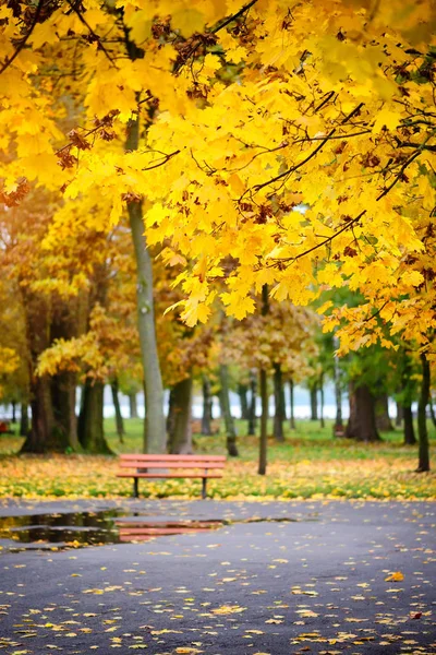 Parco autunnale dopo la pioggia. Ora di autunno — Foto Stock