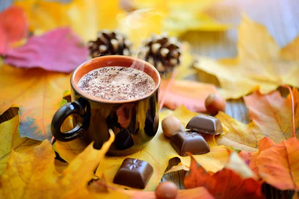Осінню чашку кави, горіхів, соснових шишок, шоколаду та осіннього листя. Осінній фон. Осіння сцена. Кава і осіннє листя . — стокове фото