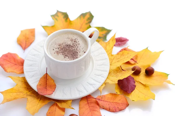 Sonbahar sonbahar yaprakları ve beyaz arka plan üzerinde kahve fincanı — Stok fotoğraf