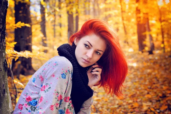 Retrato de una joven pelirroja en el bosque de otoño. Día soleado. El otoño es tiempo —  Fotos de Stock