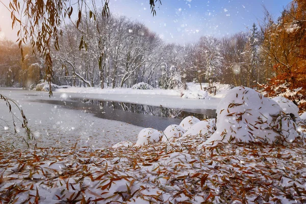 First snow with autumn leaves. Beautiful winter landscape with the river in frosty day. — Stock Photo, Image