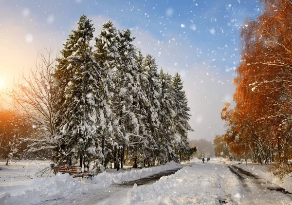 Śnieg w listopadzie. Droga w parku. Słoneczny dzień śniegu. — Zdjęcie stockowe