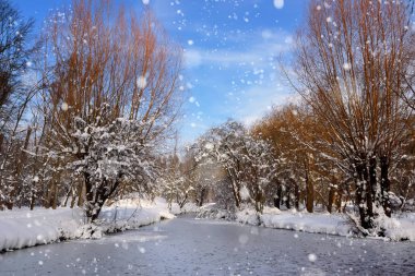 Karla kaplı ağaçlarla kaplı güzel kış manzarası