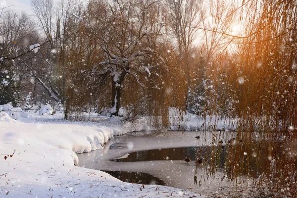 Paesaggio invernale con il fiume nella gelida giornata di sole — Foto Stock