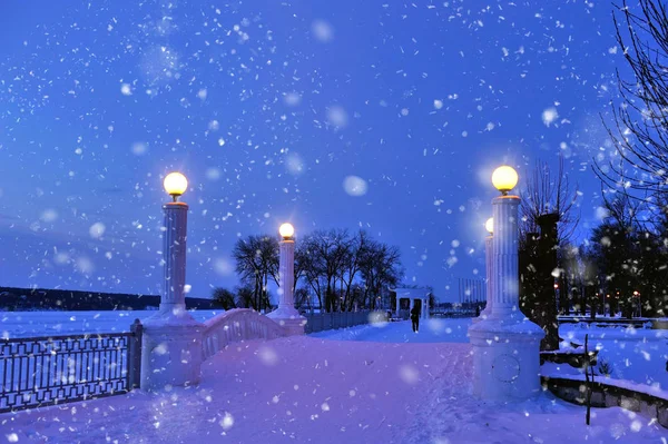 Vista notturna del parco invernale. Bellissimo paesaggio invernale. Terrapieno innevato del lago . — Foto Stock