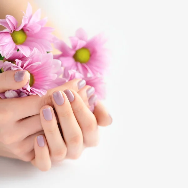 Manos de una mujer con manicura rosa en las uñas y flores rosas sobre un fondo blanco —  Fotos de Stock