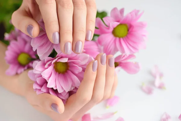 Mãos de uma mulher com manicure rosa em pregos e flores rosa em um fundo branco — Fotografia de Stock