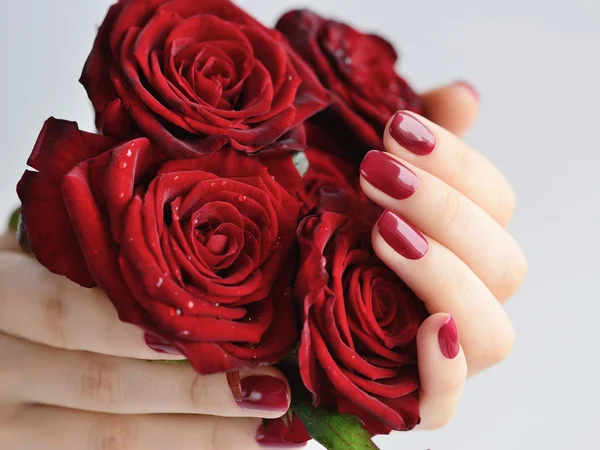 Mãos de uma mulher com manicure vermelho escuro com um buquê de rosas vermelhas — Fotografia de Stock