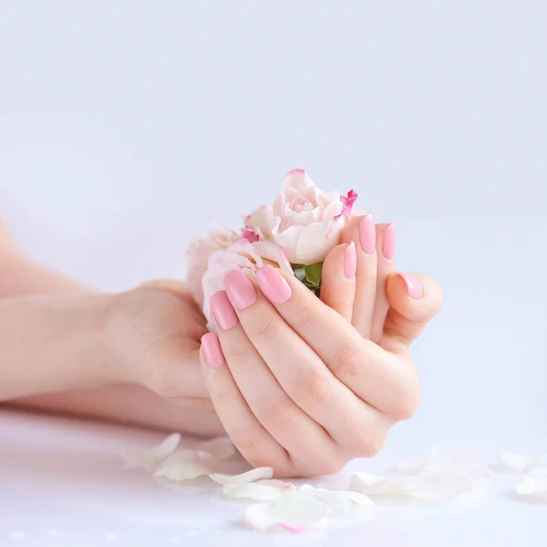与粉红色指甲指甲和玫瑰白色背景上一个女人的手 — 图库照片