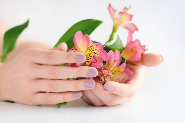 Mãos de uma mulher com manicure vermelho escuro em pregos e flores alstroemeria em um fundo branco — Fotografia de Stock