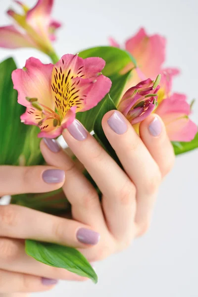 Mãos de uma mulher com manicure vermelho escuro em pregos e flores alstroemeria em um fundo branco — Fotografia de Stock