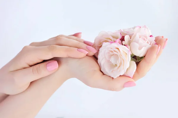 Τα χέρια του μια γυναίκα με ροζ μανικιούρ νύχια και τριαντάφυλλα — Φωτογραφία Αρχείου
