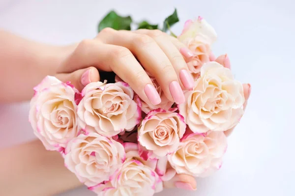 Mãos de uma mulher com rosas rosa contra fundo branco — Fotografia de Stock