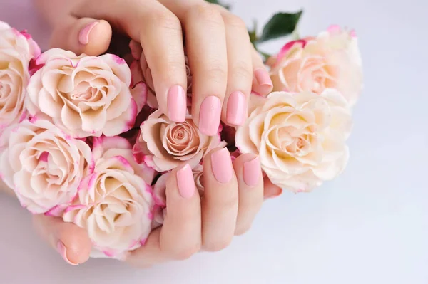 Mani di una donna con rose rosa sullo sfondo bianco — Foto Stock