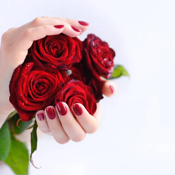 Ręce kobiety z ciemny czerwony manicure z bukietem czerwonych róż — Zdjęcie stockowe