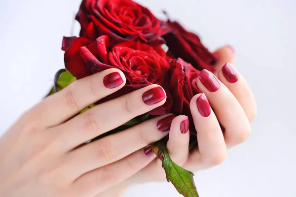 Ręce kobiety z ciemny czerwony manicure z bukietem czerwonych róż — Zdjęcie stockowe
