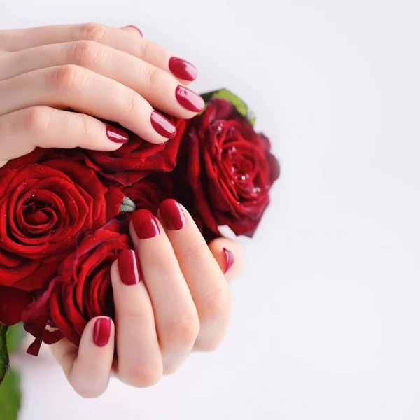 Hands of a woman with dark red manicure with a bouquet of red roses — Stock Photo, Image