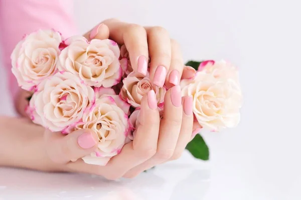 Hands of a woman with pink roses against white background — Stock Photo, Image