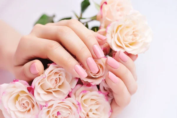 Handen van een vrouw met roze rozen tegen de witte achtergrond — Stockfoto