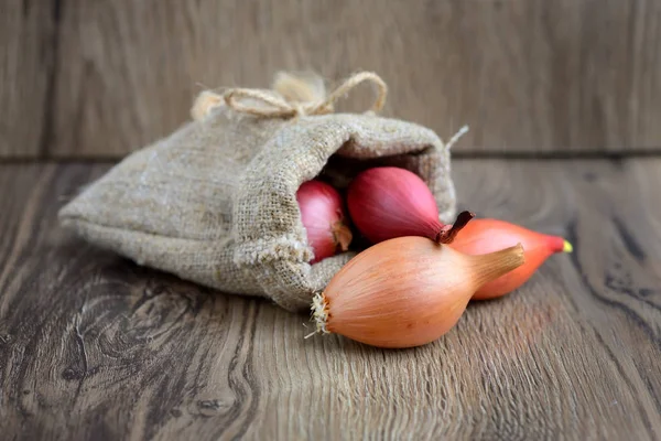 Dry bulb onions for planting in a small sack on wooden background — Stock Photo, Image