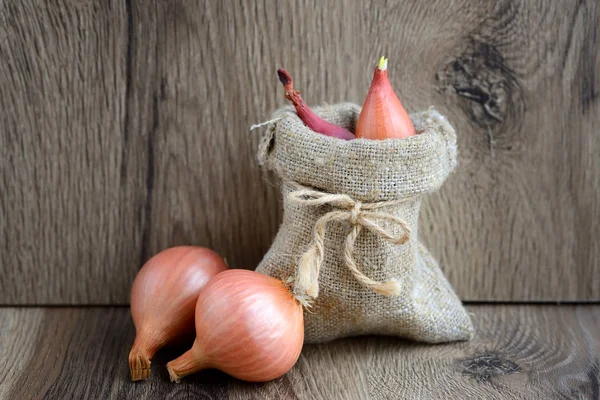Dry bulb onions for planting in a small sack on wooden background — Stock Photo, Image