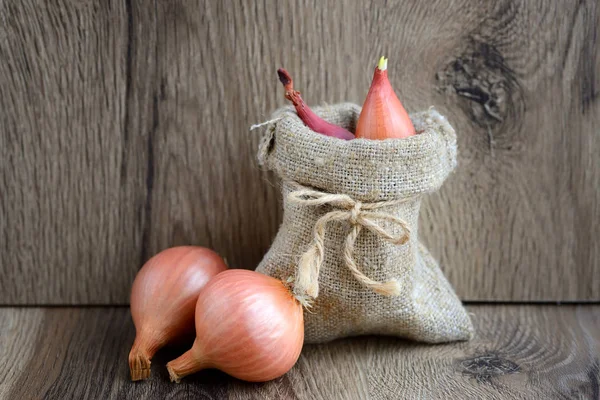 Cebolas de bulbo seco para plantar em um pequeno saco em fundo de madeira — Fotografia de Stock