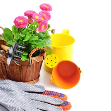 Marguerite çiçek ve Bahçe aletleri beyaz bir arka plan üzerinde