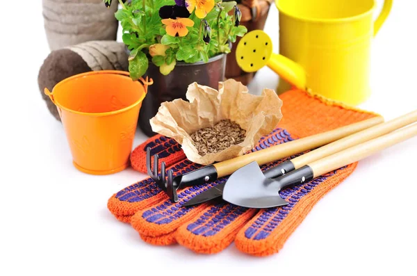 Gardening tools and seed and spring flowers on a white backgroun — Stock Photo, Image