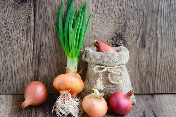 Colorful onions on rustic wooden background — Stock Photo, Image