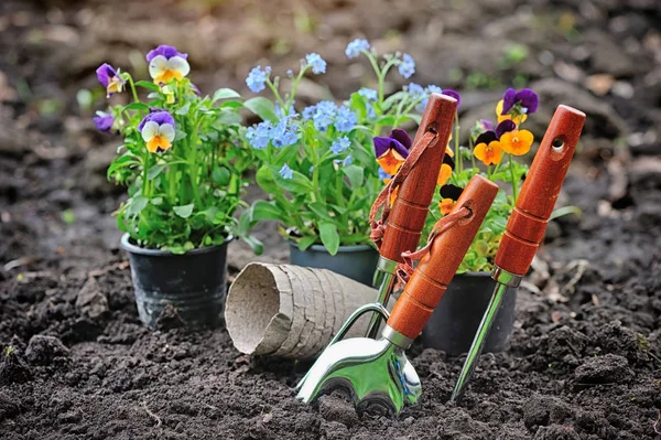 Herramientas de jardinería y flores de primavera en el jardín —  Fotos de Stock