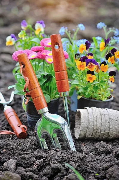Ferramentas de jardinagem e flores de primavera no jardim — Fotografia de Stock