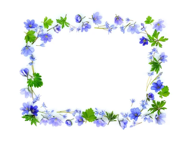 Blommig rektangel tillverkad av blå våren blommor på vit bakgrund. Ovanifrån. Ram av blommor. — Stockfoto