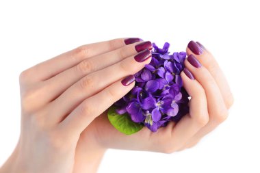 Elleri olan bir kadın koyu mor manikür çivi ve menekşe beyaz bir arka plan üzerinde buket