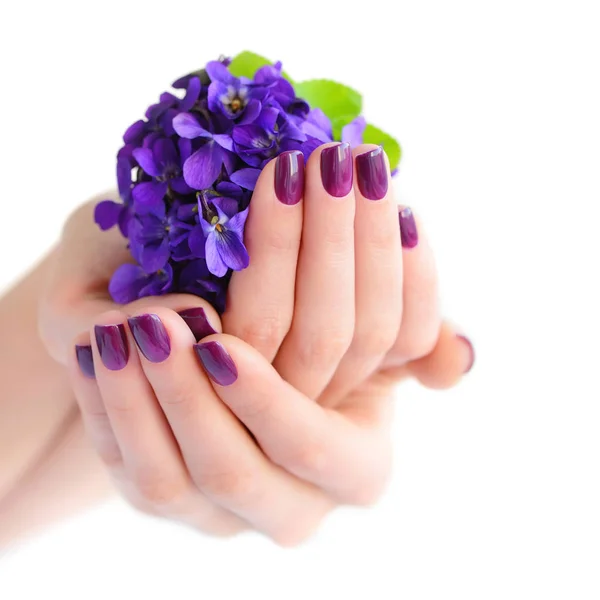 Händerna på en kvinna med mörkt lila manikyr på naglarna och bukett violer på vit bakgrund — Stockfoto