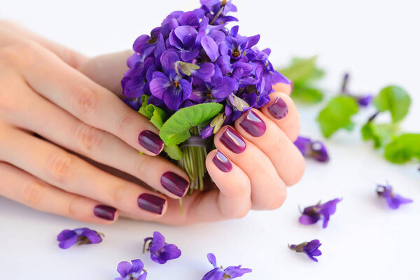 Hands of a woman with dark purple manicure on nails and bouquet of violets on a white background